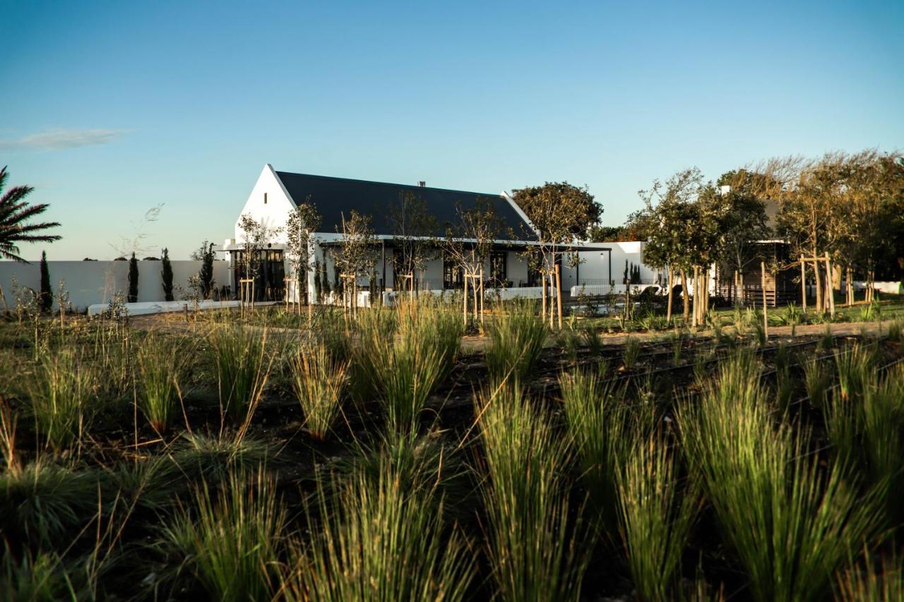Vergenoegd Löw Boutique Hotel&Spa Kaapstad Buitenkant foto