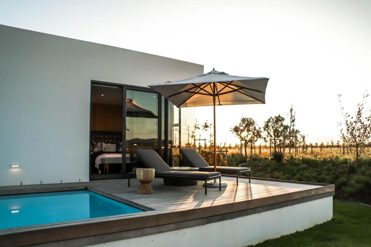 Vergenoegd Löw Boutique Hotel&Spa Kaapstad Buitenkant foto